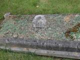 image of grave number 518534